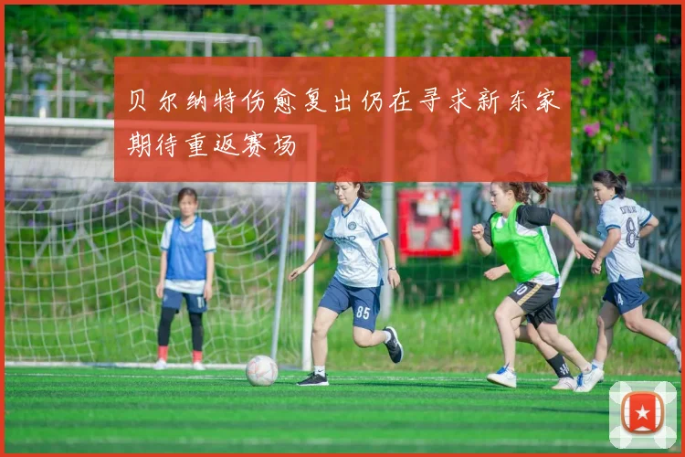 贝尔纳特伤愈复出仍在寻求新东家期待重返赛场