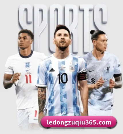 乐动体育 APP | LDSPORTS